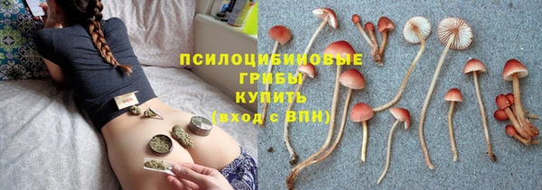 МДПВ Осташков