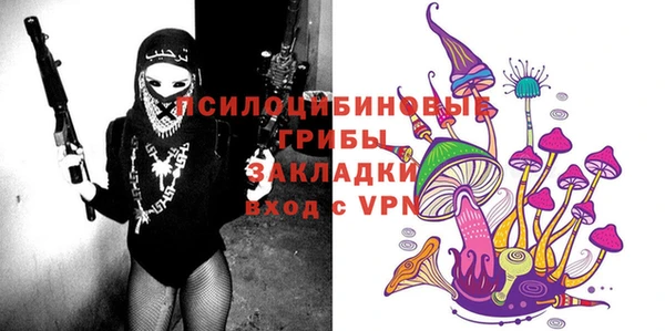 а пвп мука Осинники